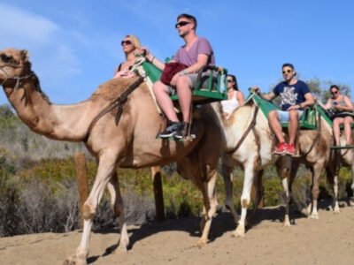 Camel safari Maspalomas Camel safari Maspalomas