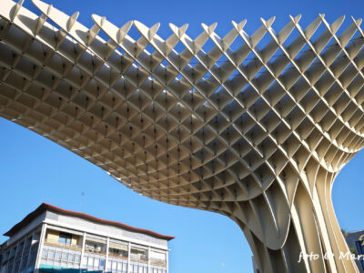 Setas de Sevilla